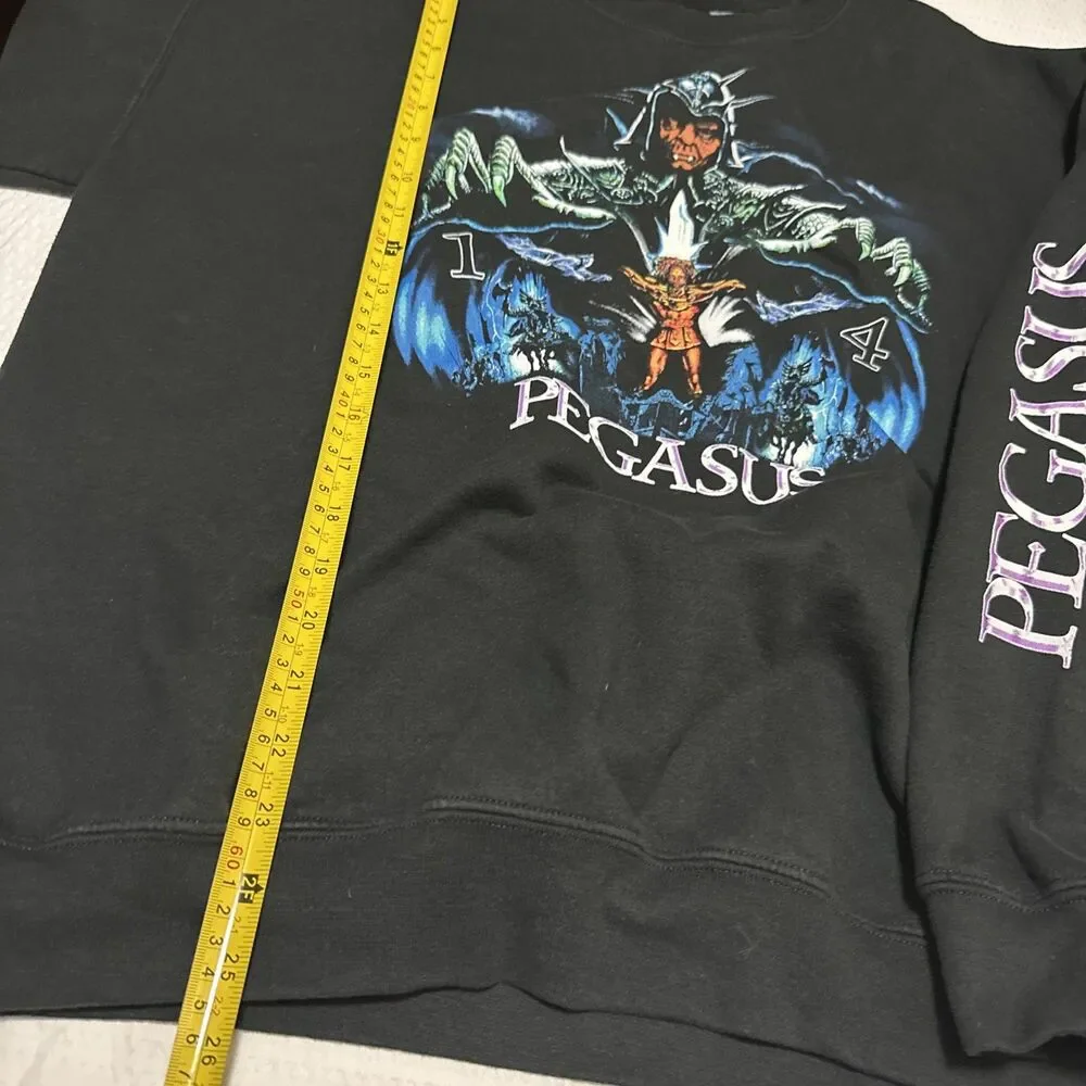Pegasus 14 Large Black Sweater Men’s
